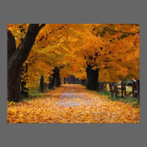 Walking Down Autumn's Memory Lane posters