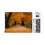 Walking Down Autumn's Memory Lane Stamp