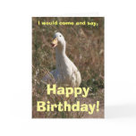Walking Duck Card