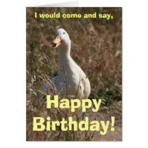 Walking Duck Card