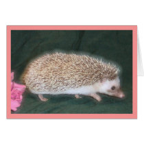 Walking Hedgehog cards by nannyogg Walking Hedgehog cards