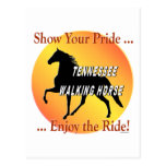 Walking Horse Pride Post Cards