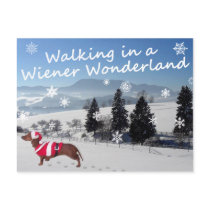 Walking in a Wiener Wonderland postcards