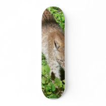 Gehender Luchs skateboards