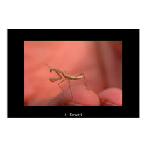 Walking on hand posters