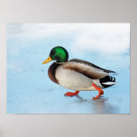Walking on water posters