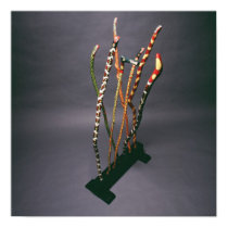 Walking stick collection posters by leemilefsky Walking stick collection posters