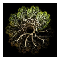 Walking Sticks. posters by herrumbroso Walking Sticks. posters