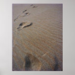 Walking the Beach posters