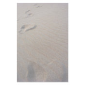 Walking the Beach Stationary stationery