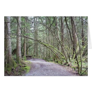 Walking the North Beach Trail card