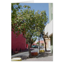 Walking the Streets of Curacao cards by hapa_grrl Walking the Streets of Curacao cards