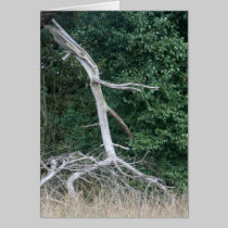 walking tree cards