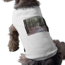 Walkway at Shalom Park Dog outfit pet clothing