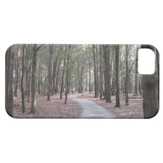 Walkway at Sholom Park iphone 5 case