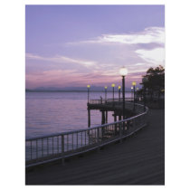 WalkwayPier051709 Full Color Flyer