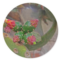 Wall Cactus 5 stickers