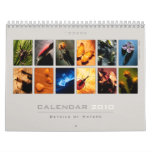 Wall Calendar 2010 - Details of Nature (1)