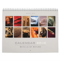 Wall Calendar 2010 - Details of Nature (4)