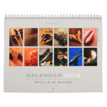 Wall Calendar 2010 - Details of Nature (6) by Houk_photography Wall Calendar 2010 - Details of Nature (6)