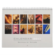 Wall Calendar 2011 - Details of Nature (5)