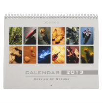 Wall Calendar 2013 - Details of Nature (1)