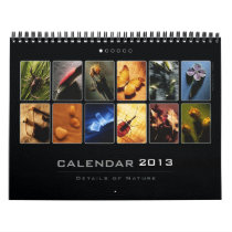 Wall Calendar 2013 - Details of Nature (1)