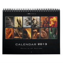 Wall Calendar 2013 - Details of Nature (2)