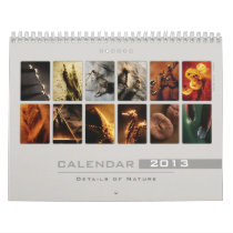 Wall Calendar 2013 - Details of Nature (2)