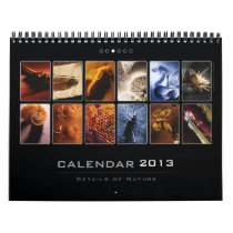 Wall Calendar 2013 - Details of Nature (3)