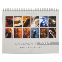Wall Calendar 2013 - Details of Nature (3)