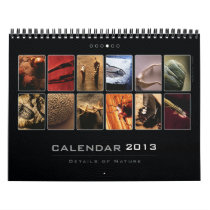 Wall Calendar 2013 - Details of Nature (4)