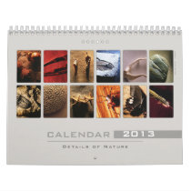Wall Calendar 2013 - Details of Nature (4)