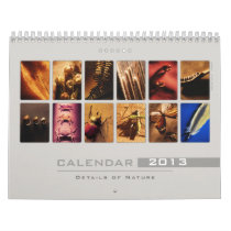 Wall Calendar 2013 - Details of Nature (5)