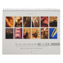 Wall Calendar 2013 - Details of Nature (5)