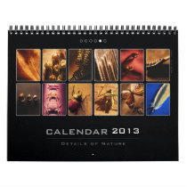 Wall Calendar 2013 - Details of Nature (5)