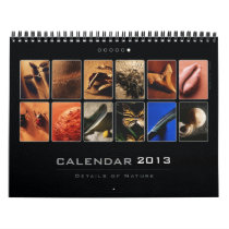 Wall Calendar 2013 - Details of Nature (6)