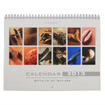 Wall Calendar 2013 - Details of Nature (6)