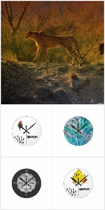 Wall Clocks