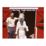 Wall Drug South Dakota Stuffed Rabbit 1962 Card Postcards