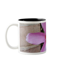 Wall Flower mugs