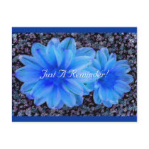 Wall Flower postcards