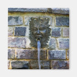 Wall Fountain in Snug Harbor Magnet