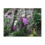 Wall of Orchids Post Cards