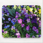 Wall of Pansies mousepads