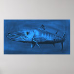 WALL SIZED--Huge Sized Blue Barracuda posters