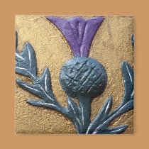 Wall Thistle Magnet magnets
