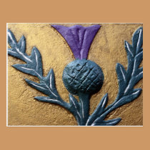Wall Thistle Postcard postcards