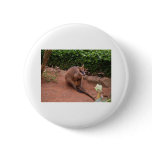 Wallaby Button
