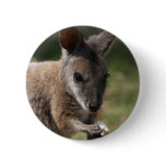 Wallaby Pin